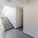 Kotwica مينززدرويه